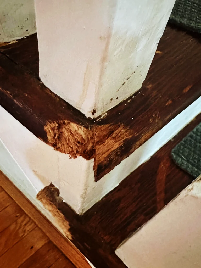 Before photo of stair treads damaged by a family's pet
